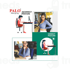 Palo Orthopedic Blue Ergonomic Back Rest 1