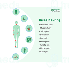 Sahyog Wellness Orthopaedic Heating Belt 1