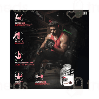 Elated Sports Science Insane Mass Gainer Creamy Chocolate 3000Gm