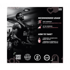 Elated Sports Science Insane Mass Gainer Creamy Chocolate 3000Gm