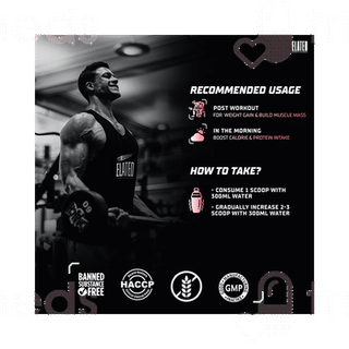 Elated Sports Science Insane Mass Gainer Creamy Chocolate 3000Gm