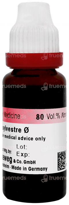Dr Reckeweg Gymnema Sylvestre Q Mother Tincture 20ml