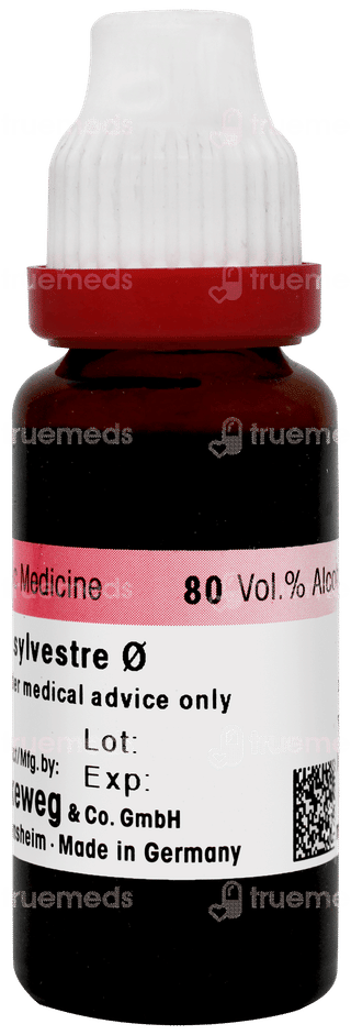Dr Reckeweg Gymnema Sylvestre Q Mother Tincture 20ml
