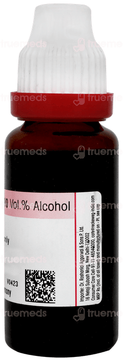 Dr Reckeweg Gymnema Sylvestre Q Mother Tincture 20ml