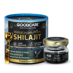 Goodcare Himalayan Shilajit Resin 20Gm