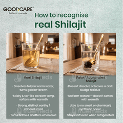 Goodcare Himalayan Shilajit Resin 20Gm