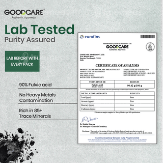 Goodcare Himalayan Shilajit Resin 20Gm