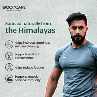 Goodcare Himalayan Shilajit Resin 20Gm