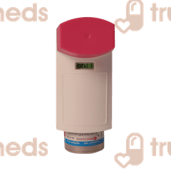 Budetrol 100 Inhaler 120mdi Budetrol 100 Inhaler 120mdi
