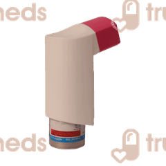 Budetrol 100 Inhaler 120mdi Budetrol 100 Inhaler 120mdi