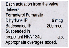 Budetrol 200 Inhaler 120mdi Budetrol 200 Inhaler 120mdi