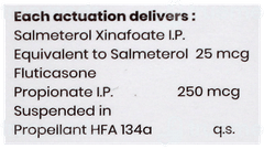 Airflow 250 Inhaler 120Mdi Airflow 250 Inhaler 120Mdi