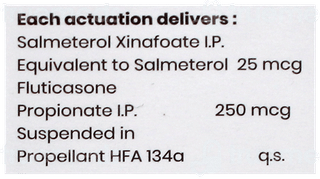 Airflow 250 Inhaler 120Mdi