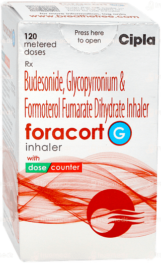 Foracort G Inhaler 120mdi