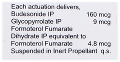 Budetrol G Inhaler 120Mdi