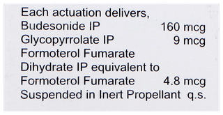 Budetrol G Inhaler 120Mdi