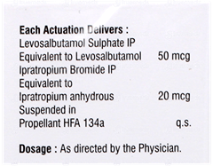 Levopulmin Inhaler 200Mdi Levopulmin Inhaler 200Mdi