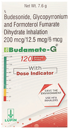 Budamate G Inhaler 120 Mdi