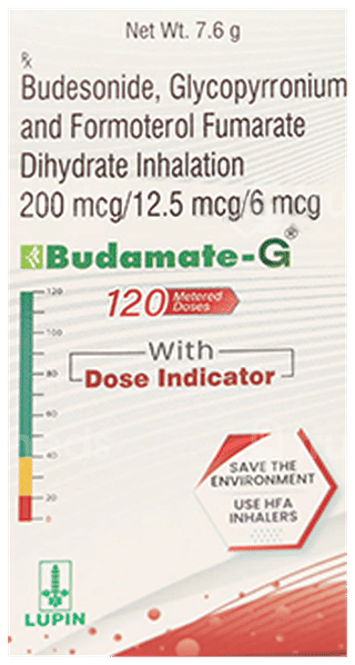 Budamate G Inhaler 120 Mdi