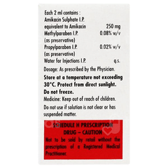 Alinfec 250 Injection 2Ml