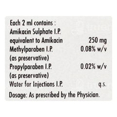 Alinfec 250 Injection 2Ml
