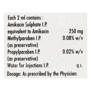 Alinfec 250 Injection 2Ml