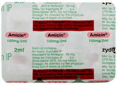 Amicin 100 MG Injection 1