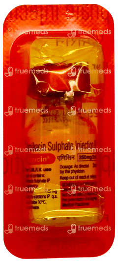 Amicin 250mg Injection 2ml