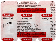 Amicin 250mg Injection 2ml
