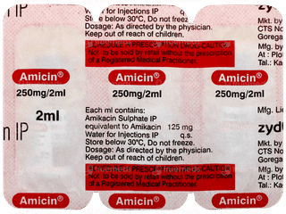 Amicin 250mg Injection 2ml