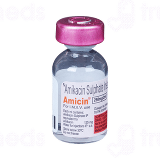 Amicin 250mg Injection 2ml