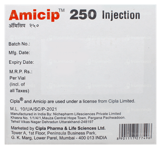 Amicip 250 Injection 2Ml