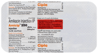 Amicip 250 Injection 2Ml