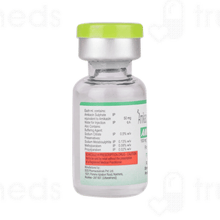 Amiject 100 Injection 2ml