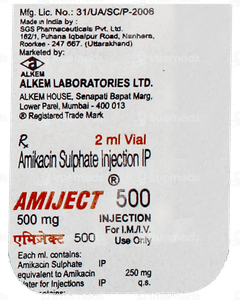 Amiject 500 Injection 2Ml Amiject 500 Injection 2Ml