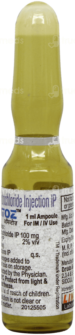 Amintoz Injection 1ml