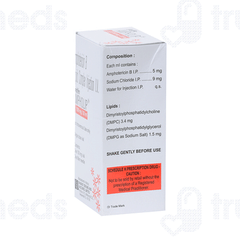 Ampholip 100 MG Injection 1