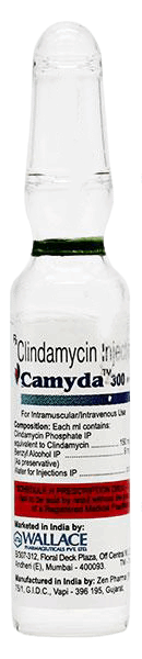 Camyda 300 Injection 2Ml