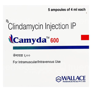 Camyda 600 Injection 4Ml