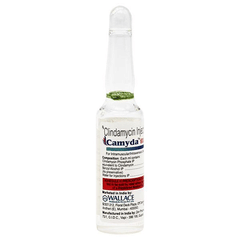 Camyda 600 Injection 4Ml Camyda 600 Injection 4Ml