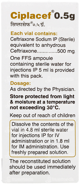 Ciplacef 500 MG Injection 1