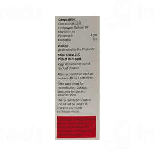 Fonyl 4gm Injection 1