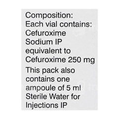 Forcef 250 Mg Injection 1 Forcef 250 Mg Injection 1