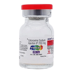 Forcef 250 Mg Injection 1 Forcef 250 Mg Injection 1