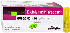 Gudgesic Aq Injection 1ml
