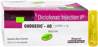 Gudgesic Aq Injection 1ml