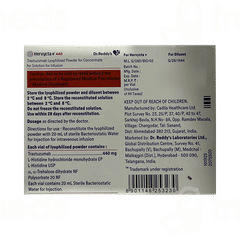 Hervycta + 440 Injection 1