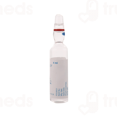 Ivepred 500 Injection 1 Ivepred 500 Injection 1