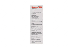 Kanamac 750 Injection 1