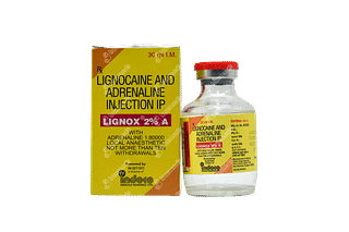 Lignox 2% A Injection 30ml